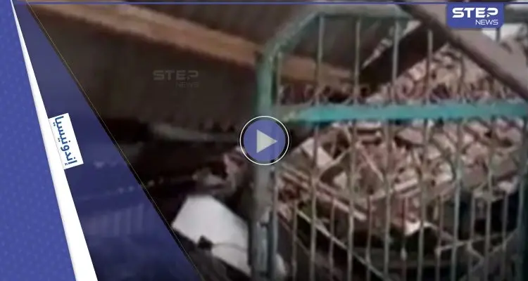 بالفيديو|| زلزال مدمر يطال مدارس إسلامية في إندونيسيا والسلطات تعلن ارتفاع عدد القتلى: أخبار