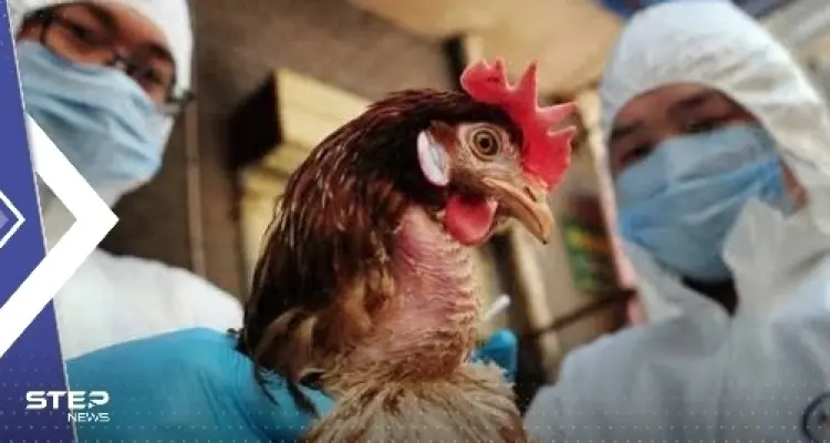 الصحة العالمية تكشف عن أول حالة وفاة بشرية بإنفلونزا الطيور في العالم: أخبار