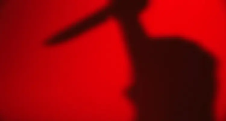 تركية تفقد زوجها "رجوليته" بسكينة مطبخ!!: أخبار