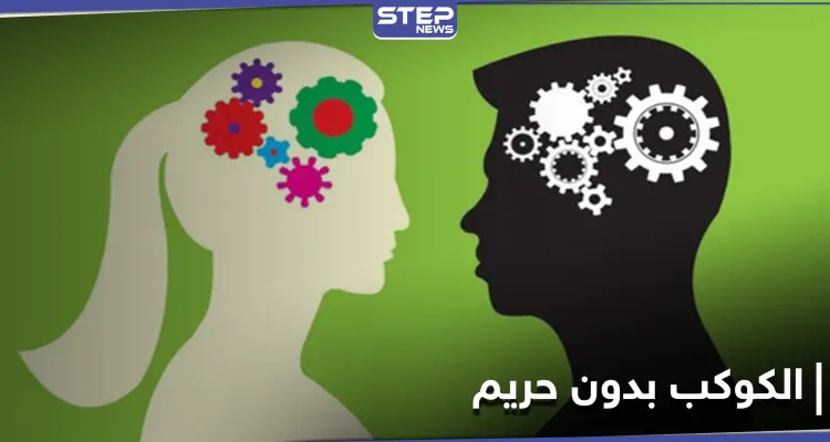 "الكوكب بدون حريم".. يشعل الحرب بين الرجال والنساء على منصات التواصل: أخبار