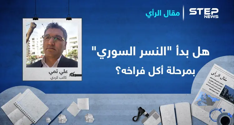 هل بدأ "النسر السوري" بمرحلة أكل فراخه؟: أخبار