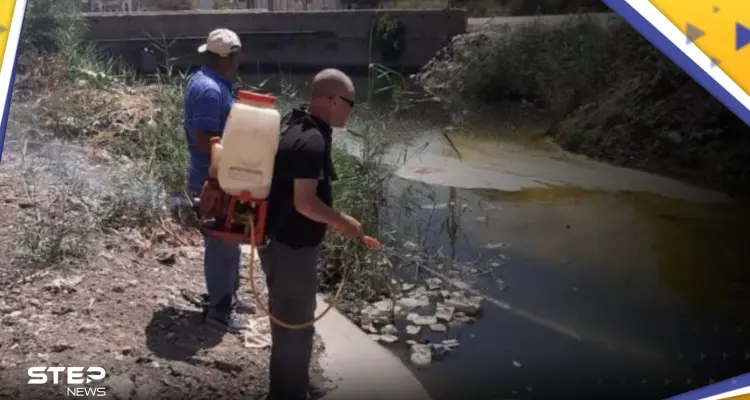 مرض غريب يهدد سكان قرية مصرية وتحرك عاجل للسلطات: أخبار