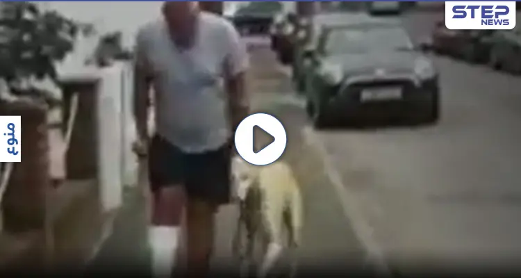 بالفيديو|| بريطاني يدفع 300 جنيه بحثاً عن مرض كلبه ليتفاجأ بأنه مجرد "وفاء وتعاطف": أخبار