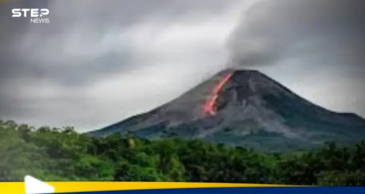 دراسة علمية.. أوراق الشجر تتنبأ بثوران البراكين قبل البشر: أخبار