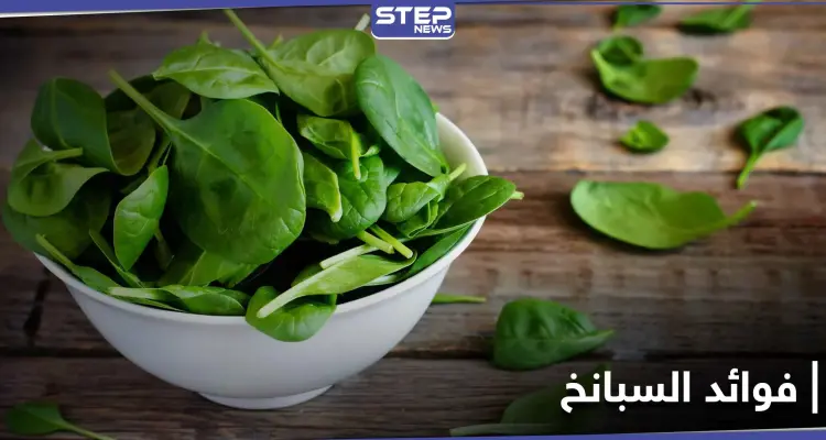 ماذا تعرف عن طعام "باباي" المفضل.. 10 فوائد للسبانخ أهمها نقصان الوزن: أخبار