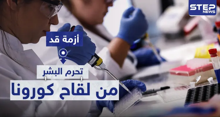 أزمة غير متوقعة قد تحرم البشر من لقاح كورونا: أخبار