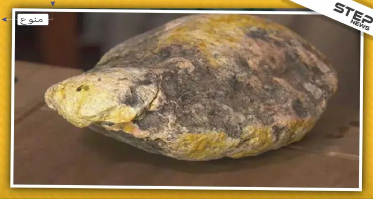 أثناء بحثه عن نفايات.. عامل نظافة يعثر على "قيء حوت" باهظ الثمن !: أخبار