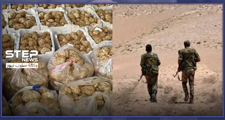 قتلى من ميلشيا "الدفاع الوطني" بدير الزور بعد وقوعهم مجدداً بكمائن "الكمأة"..: أخبار