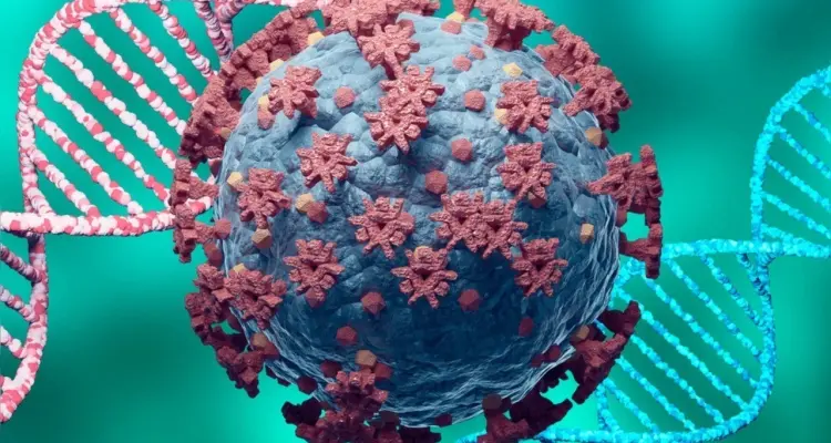 وزير ألماني يكشف احتمالية وجود متحور "أوميكرون" بالبلاد وحاكمة نيويورك تعلن حالة الطوارئ بسببه: أخبار