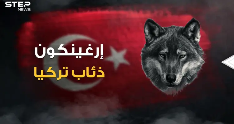 رضعوا حليب الذئاب .. ماذا تعرف عن منظمة إرغينكون وقصة الذئبة التي أنجبت الأتراك!: أخبار