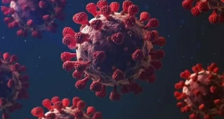 اكتشاف سلالة جديدة من كورونا في البيرو.. وإقليم كردستان يقرر فرض حظر شامل للتجوال خلال العيد: أخبار