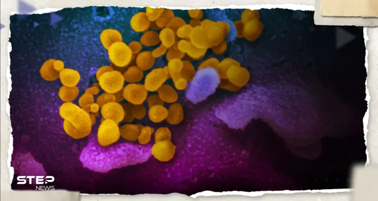 متحوّر جديد لفيروس كورونا.. "إيريس" ينتشر سريعاً في بريطانيا وأمريكا: أخبار