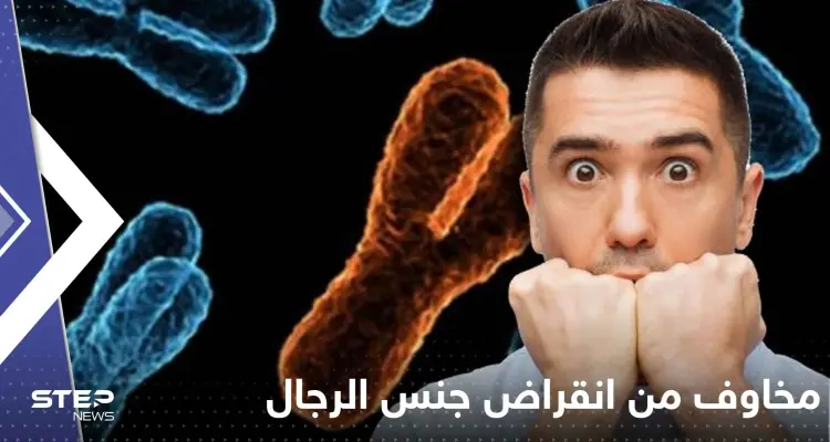 دراسة تنذر بانقراض جنس الرجال.. الأمر بدأ من الفئران!: أخبار