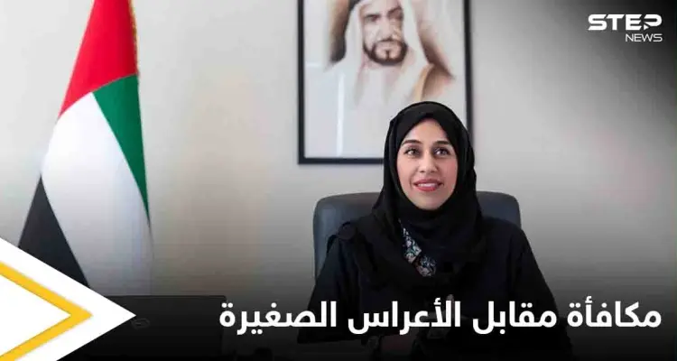  "عرس صغير" مقابل منحة كبيرة.. قرار جديد في الإمارات: أخبار