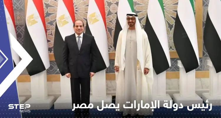 شاهد|| رئيس دولة الإمارات يصل مصر.. والسيسي في استقباله: أخبار