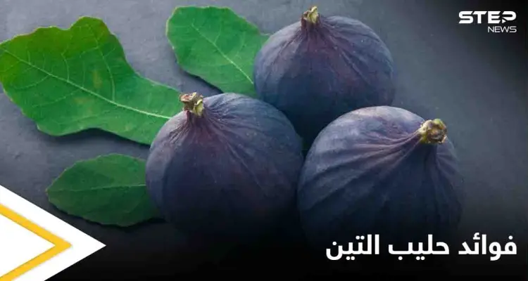 ما هو حليب التين مما يتكون وفوائده الصحية الكثيرة إليك كل ما عليك معرفته عنه: أخبار