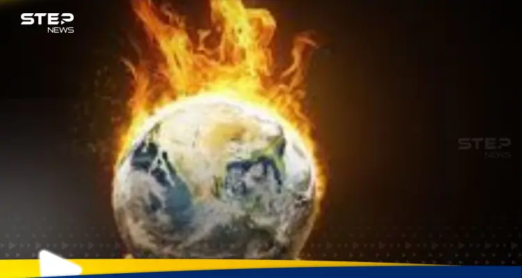 دراسة تكشف ما فعلته ارتفاع درجات الحرارة المناخية المتطرفة في الطبيعة والحيوانات: أخبار