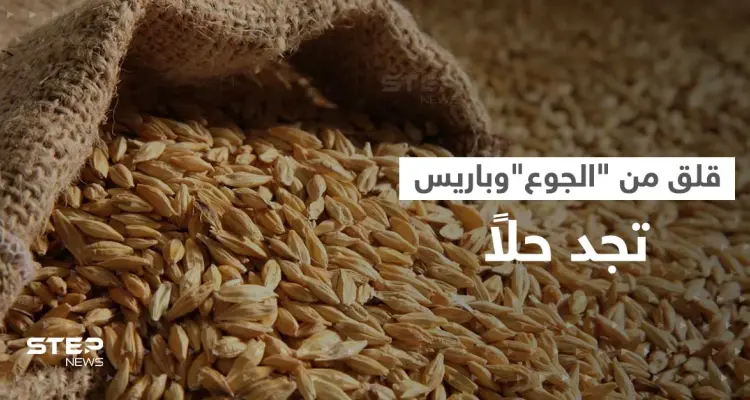 قلق الجوع يمتد من أوروبا إلى أستراليا.. وطريق بريّ قد يكون الحل: أخبار