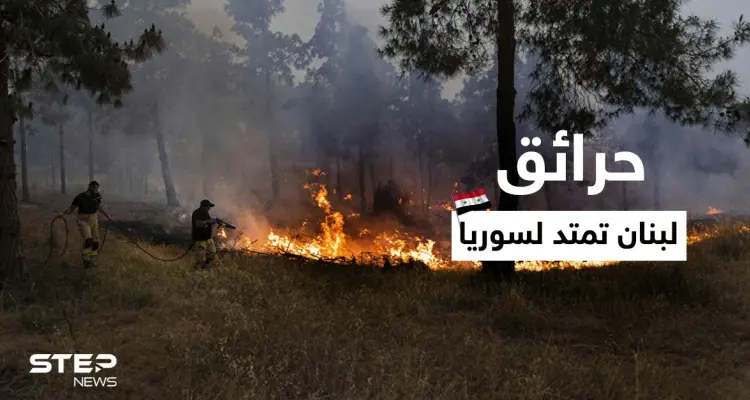 لليوم الثالث.. حرائق ضخمة مستمرة في شمال لبنان وتمتد إلى سوريا (فيديو): أخبار