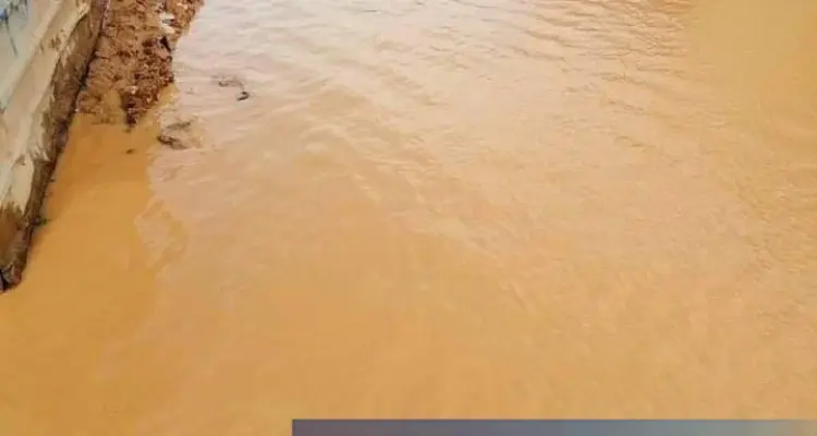 موجز أخبار الوضع السوري ليوم الجمعة 08-03-2019: أخبار