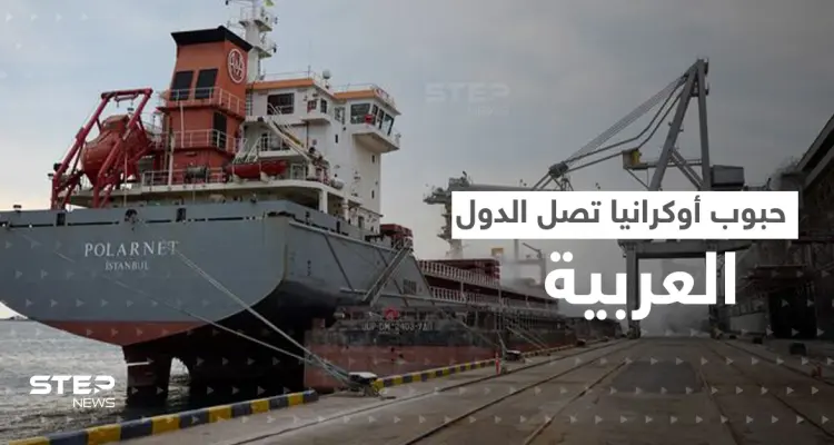 أول سفينة أوكرانية محملة بالحبوب رفضها لبنان فاطفأت جهاز التعقب ووجدت وجهة ثانية: أخبار