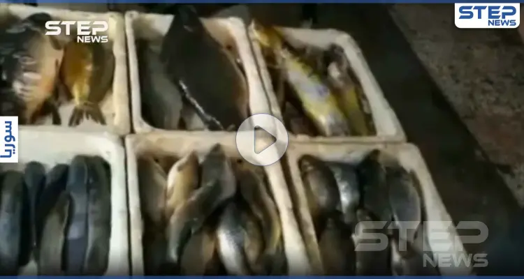 جولة مصورة داخل سوق الهال بمدينة الحسكة: أخبار