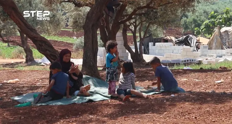 مهجرون من داريا يقدمون المساعدة لنازحي ريف إدلب وحماة لإيجاد مأوى لهم من تحت أشجار الزيتون: أخبار