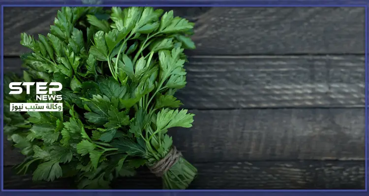 إليك سيدتي فوائد وأضرار البقدونس أثناء الحمل: أخبار