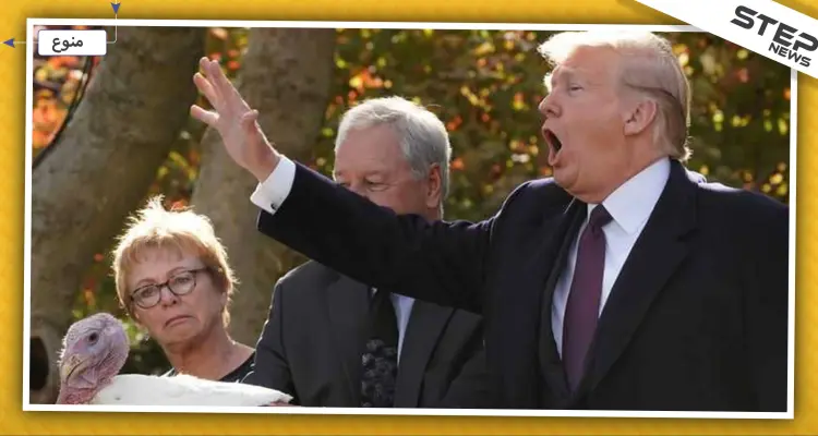 اقتداءً بأسلافه.. ترامب يصدر عفو عن ديك رومي ويذبح آخر: أخبار