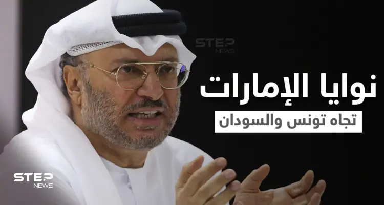أنور قرقاش يوضح نوايا الإمارات بشأن التطورات الأخيرة في تونس والسودان: أخبار