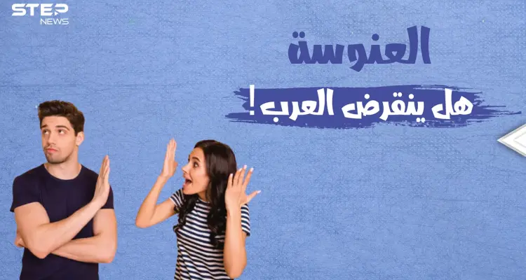 لا أحد يريد الزواج أم لا أحد يقدر .. أرقام مخيفة عن نسبة العنوسة في البلاد العربية.. تعرف على عددهم: أخبار