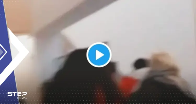 بالفيديو|| لحظات هروب سفيرة إسرائيل في إسبانيا أمام مؤيدين لفلسطين وردة فعلها: أخبار