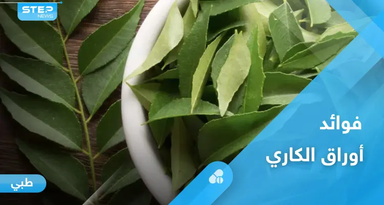 تحارب الأمراض المزمنة والخطيرة.. أوراق الكاري وفوائدها المذهلة إليك أهم المعلومات: أخبار