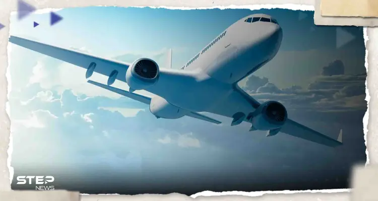 حظها السيء تبعها للجو.. عقرب على متن طائرة يلدغ سيدة والشركة تتحرك: أخبار