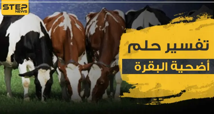  تفسير رؤية أضحية البقرة بالمنام وكذلك قطيع من الأبقار لجميع أفراد الأسرة: أخبار