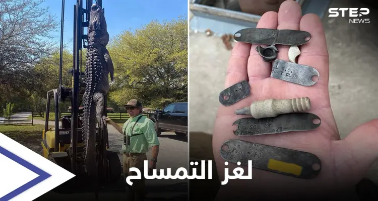 شاهد بالصور|| صيد تمساح عملاق يكشف لغز عمره 24 عاماً: أخبار