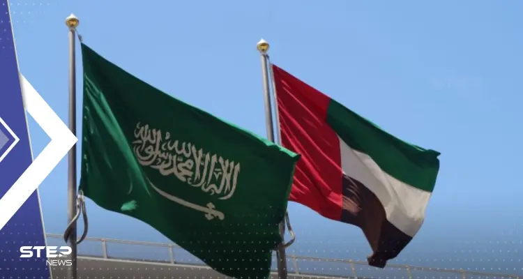 تعليق إماراتي على اللقاء التلفزيوني لولي العهد السعودي مع قناة "فوكس نيوز": أخبار