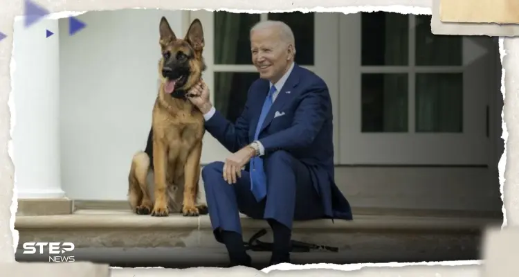 بعد سلسلة حوادث بالبيت الأبيض.. طرد كلب الرئيس بايدن إلى مكان مجهول: أخبار