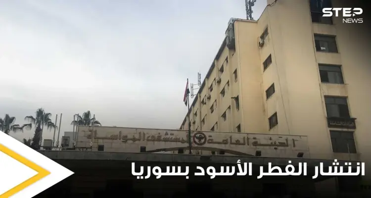 وسط ازدياد حالات الإصابة.. مدير إحدى المستشفيات السورية يكشف سبب زياة انتشار الفطر الأسود: أخبار