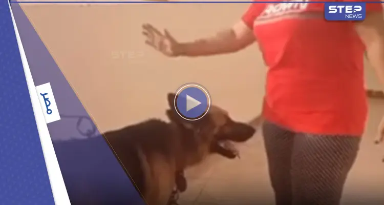 بالفيديو|| بتهمة ازدراء الأديان.. مستشار مصري يقدم بلاغاً ضد امرأة مصرية فرشت سجادة صلاة لكلبها: أخبار