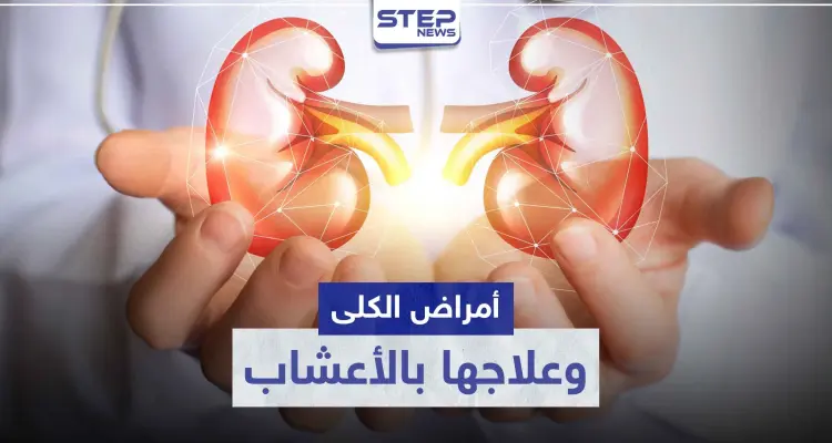 أمراض الكلى الشائعة.. و 8 أعشاب طبيعية لعلاجها: أخبار