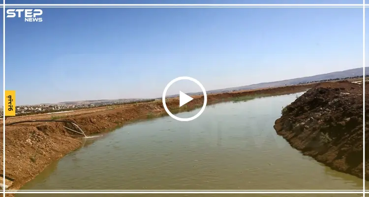 فتح مشاريع لزراعة الأسماك في ريف إدلب لتوفر فرص عمل لنازحي سهل الغاب: أخبار