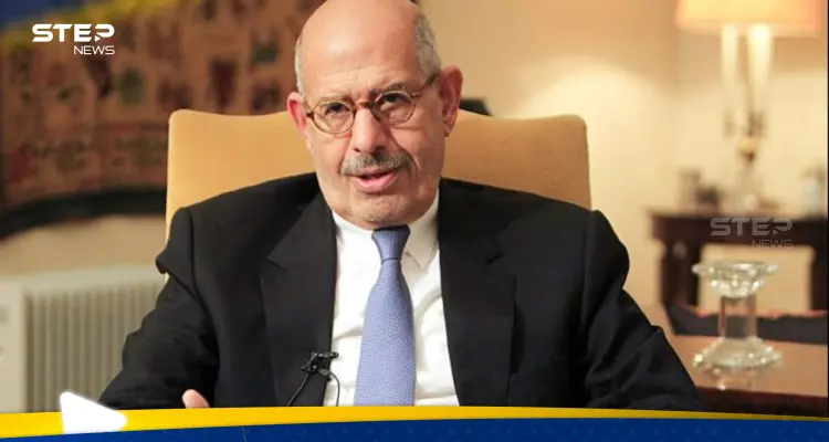 البرادعي يتفاعل على إثارة السيسي لمعاهدة الدفاع العربي المشترك.. ما قصتها؟: أخبار