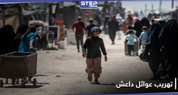 خاص|| رئيس حراس مخيم الهول يكشف لــ"ستيب" عن تجهيزات "قسد" لوقف عمليات التهريب: أخبار