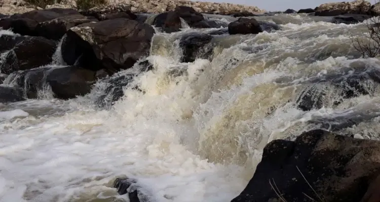 موجز أخبار الوضع السوري ليوم الخميس 10/01/2019: أخبار