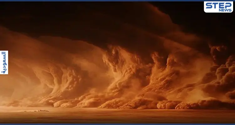 العاصفة الرملية تعيق حركة هبوط 12 طائرة في أحد مطارات السعودية.. والدفاع المدني يحذر (فيديو): أخبار