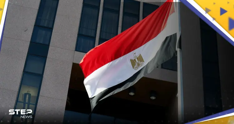 خارجية مصر تعلق على زيارة المقداد ولقاء نظيره سامح شكري: أخبار