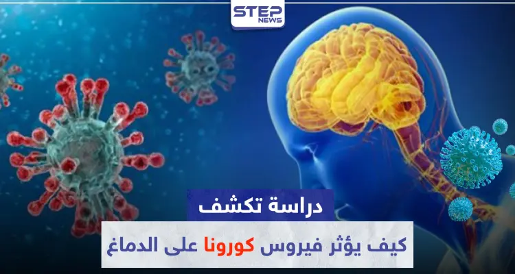 دراسة تكشف كيف يؤثر فيروس "كورونا" على الدماغ.. وهذه مخاطره: أخبار