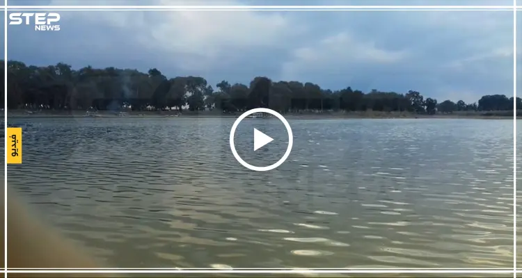 بحيرة المزيريب في درعا معلمًا سياحيًا هامًا ومصدرًا للرزق (فيديو + صور): أخبار