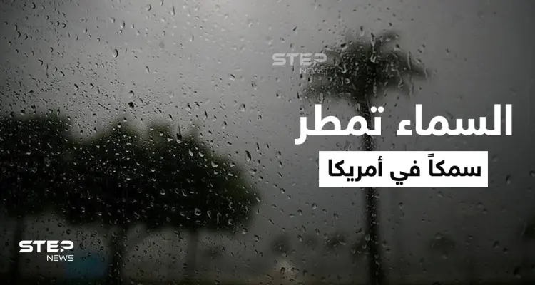 شاهد|| مدينة أمريكية تشهد ظاهرة غريبة مع نهاية عام 2021.. السماء تمطر أسماكاً مع الأمطار وتملأ الشوارع (فيديو): أخبار